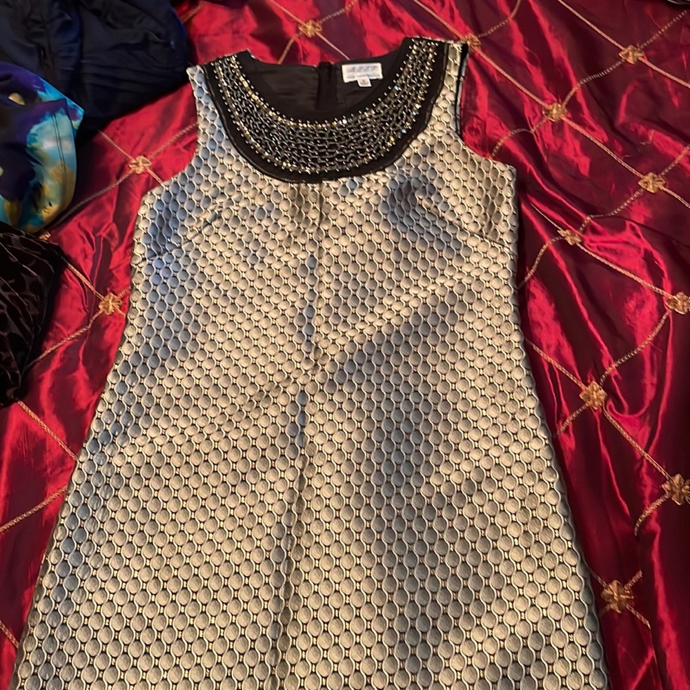 Max studio specialty products dress size 6